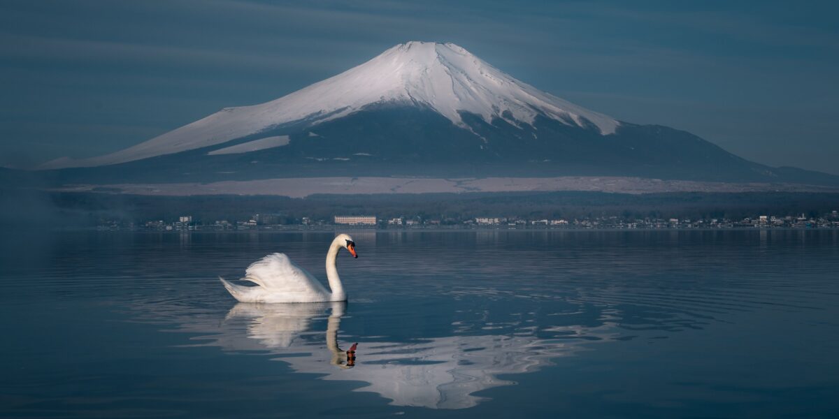 Japan pledges $10bn