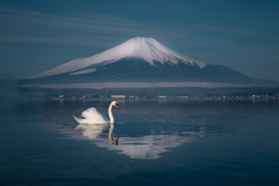 Japan pledges $10bn